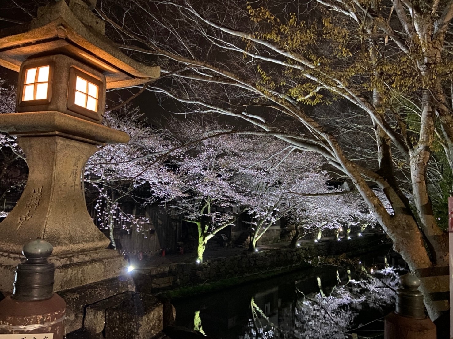 墨彩画　額入り　近江八幡・八幡堀 近江八幡の桜名所🌸