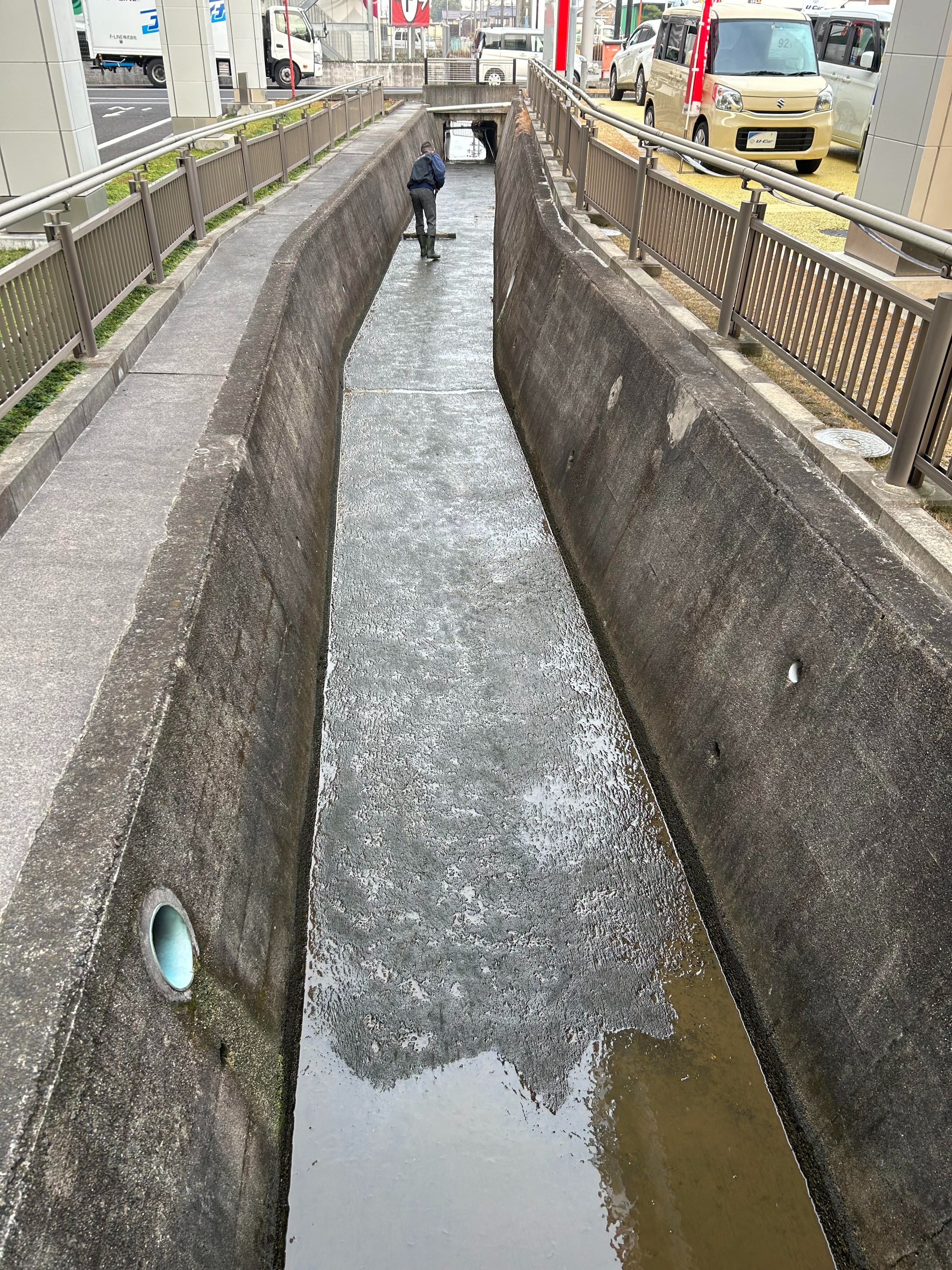 川掃除
