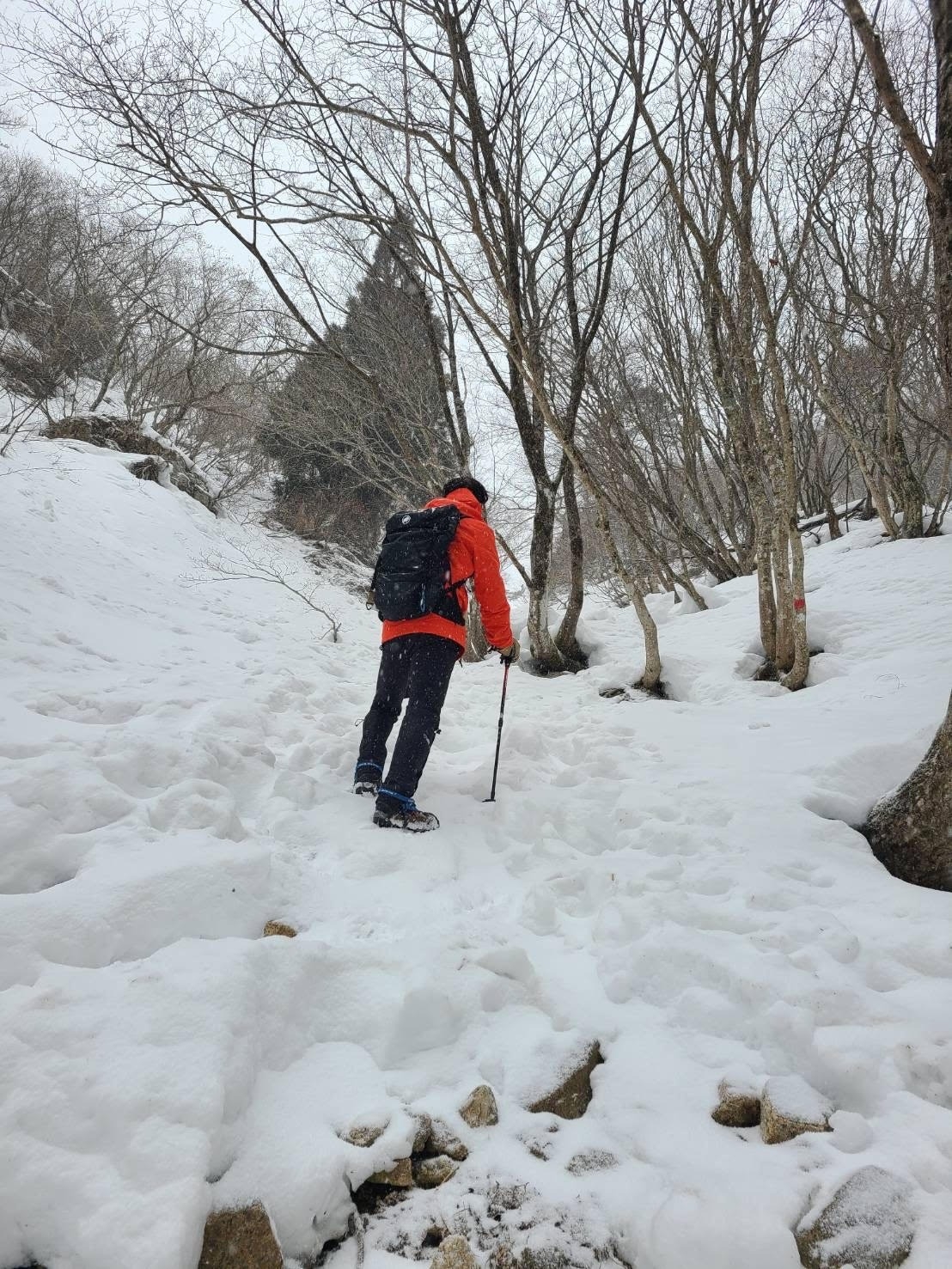 山登り