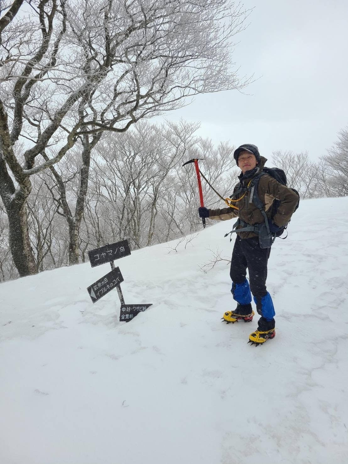 山登り