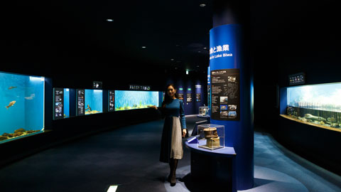滋賀県立琵琶湖博物館_水族展示室