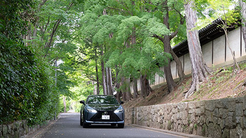 東福寺