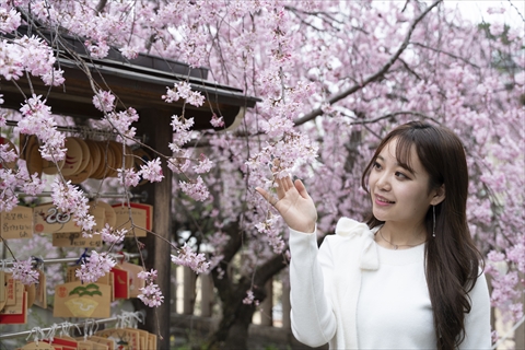 弓弦羽（ゆづるは）神社