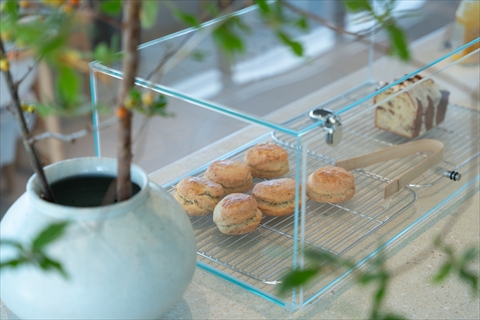 TaLaBrew(タラブリュー)