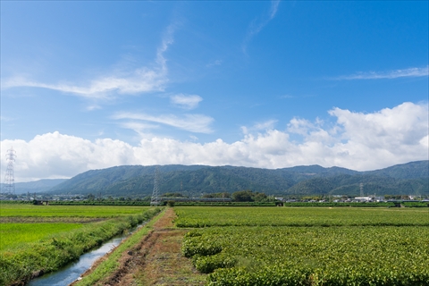 TaLaBrew(タラブリュー)