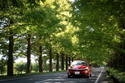 アクアで行く!自然と文化が息づく高島