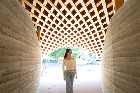 メタセコイアと馬の森