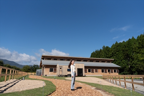 メタセコイアと馬の森