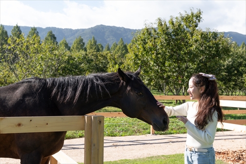 アクアで行く!自然と文化が息づく高島
