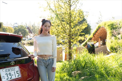 メタセコイアと馬の森