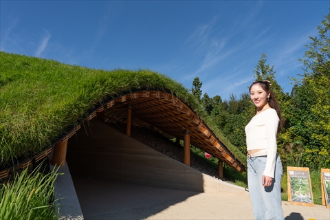 メタセコイアと馬の森