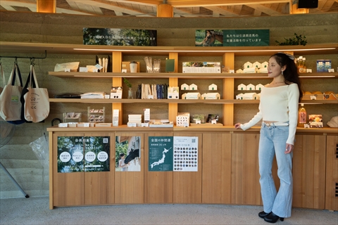 メタセコイアと馬の森