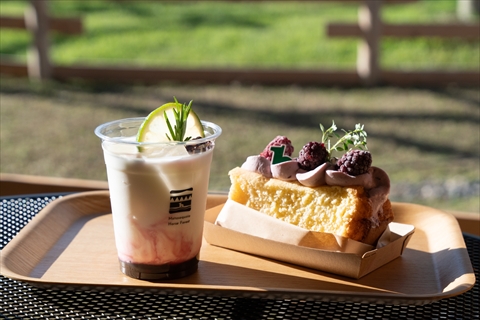 メタセコイアと馬の森