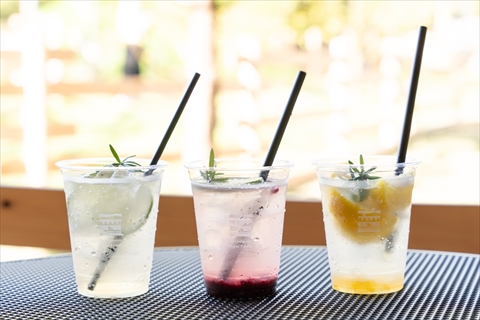 メタセコイアと馬の森