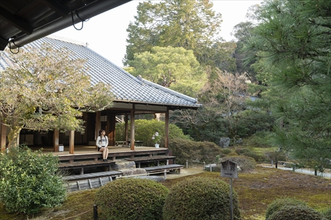 青蓮院（しょうれんいん）門跡