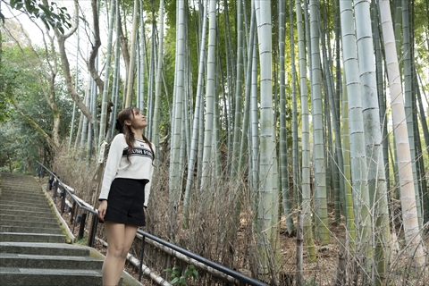 青蓮院（しょうれんいん）門跡