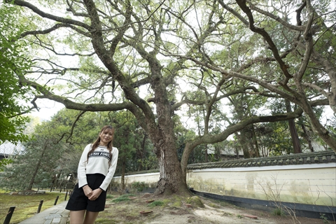 青蓮院（しょうれんいん）門跡