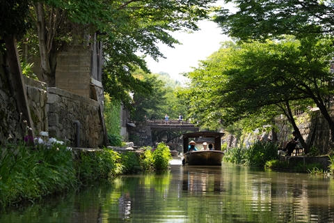 初夏の緑が水辺を彩る、心地よい時間を過ごしました