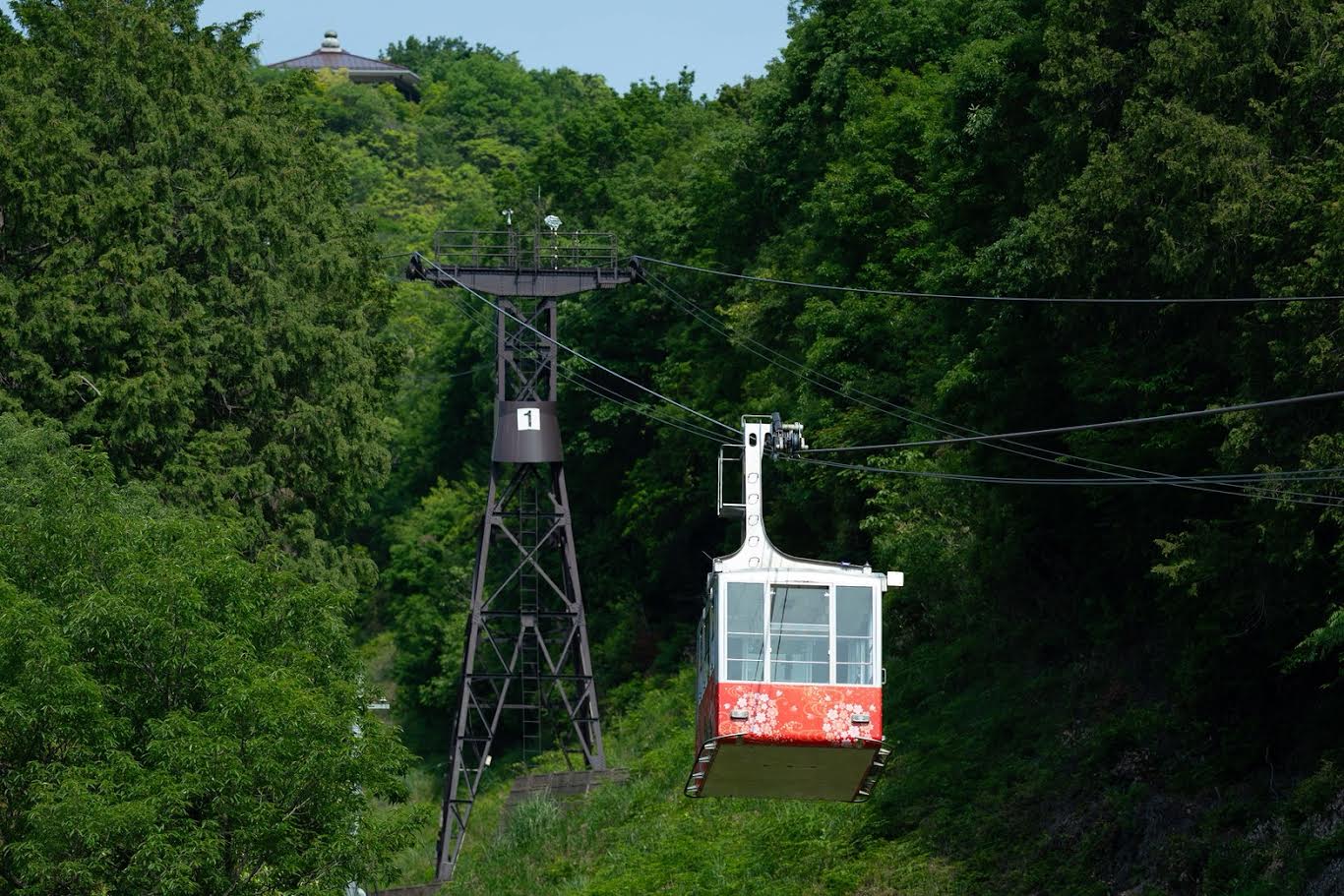 登山ルートもありますが、今回はロープウェーを利用して山頂へ。
