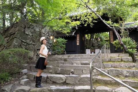 石段の先に、格調高い山門が見えてきました