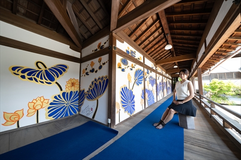 村雲御所瑞龍寺門跡（八幡山） 外観