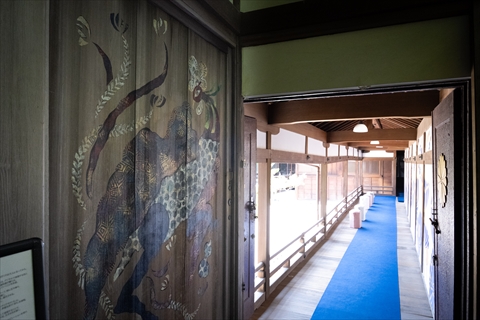 本堂から奥の書院へと進むと、気鋭の現代絵師によるアートがお寺を鮮やかに彩ります