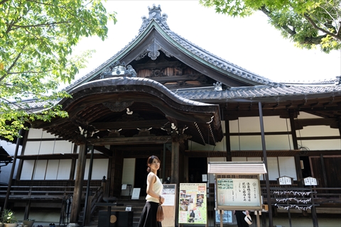 緑に包まれた境内に、堂々とたたずむ本堂