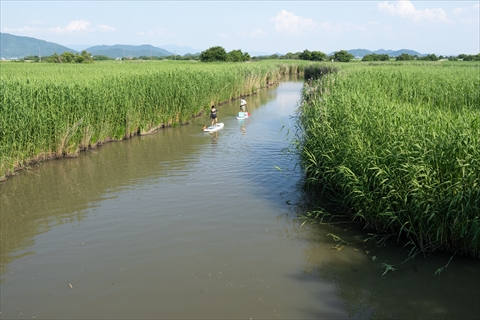 船旅とは違う、冒険気分が楽しい水郷SUPでした
