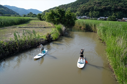 青々と群生するヨシに囲まれた水路は、自然の迷路のよう