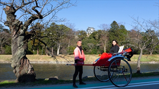 ひこね亀樂車